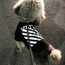 강아지 명품 옷 사계절 티셔츠 실내복 봄 여름 반팔 쿨 내복 반려동물 소형 중형 티셔츠