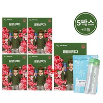 트루헬퍼 팔팔비책차 십전대보 쌍화 차 30티백, 팔팔비책차 5박스 (추가보틀제공)