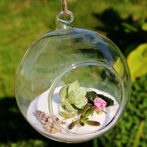 행잉 유리볼 테라리움 용기 장식소품, 지름 18cm 둥근바닥 로프포함