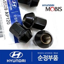 튜익스 휠너트 A5529AP120
