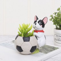 ROOGO 루고 화분 강아지 스타디움 축구