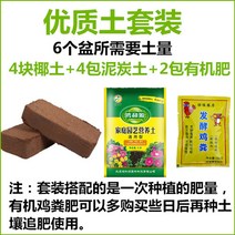 베란다 발코니 텃밭 다층 대형 화분, 6단 프리미엄 흙세트1(대야제외), 엄청나다