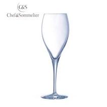 아코록 C&S 오놀로그 샴페인잔 260ml