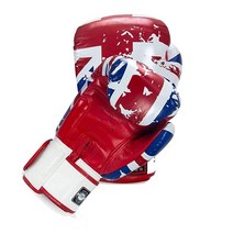 Twins Boxing 무에타이 트레이닝 스파링 장갑 (드래곤/실버 226.8g(8온스)) [미국 직배송], UK