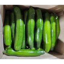 국내산 쥬키니 특 상 못난이 10kg 백산상회, 1박스