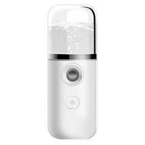 4 색 미니 페이셜 스팀 가습기 분무기 애플 버튼 모이스처 라이저 핸드 헬드 USB 충전 분무기 페이셜 케어, White