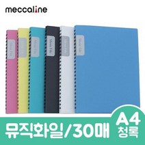 메카라인 뮤직화일.A4/30매/청록.1권/30