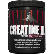 유니버셜뉴트리션 애니멀 크레아틴 XL 파우더 프루트 펀치 맛, 1개, 279g