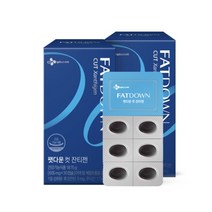CJ 리턴업 팻다운 컷 잔티젠 다이어트 보조제   쇼핑백 증정, 30캡슐x2box