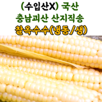 산지직송 충북 괴산 대학 찰 옥수수 냉동옥수수 생옥수수 삶은옥수수, 냉동_삶은찰옥수수_3팩(9개)