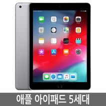 아이패드 5세대 32GB 128GB WiFi/LTE 셀룰러 기가 정품, Wi-Fi+Cellular
