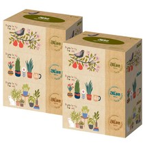 all바른 먼지날림이 적은 미용티슈 2겹 180매 3개 x 2팩, 180개