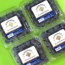 생 블루베리 125g x 4팩 10팩 1.2kg 칠레산