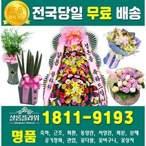 백합꽃송이 백합꽃다발 꽃송이백합 인형꽃다발 공기정화식물 저렴한꽃배달 꽃배달전문 개업꽃다발 꽃바구니배송 인기꽃배달 당일꽃배달 꽃주문 꽃송이꽃다발 꽃다발백합 꽃다발꽃송이 예약거베라, 2.근조3단