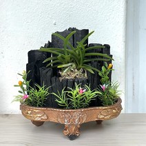 희망참숯농원 숯화분 사랑으로, 1, 1개