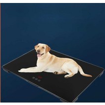 대형견 체중계 애견샵 저울 건강검진 체중계 반려묘 중형견, 블랙(사이즈 65x45CM) B20 배터리