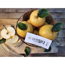 가정용 나주배 흡집 기스배, 가정용 나주배 7.5kg(11-12과), 1개