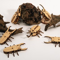 크래빗 [곤충 만들기] 엄마표 집콕놀이 diy 만들기 키트 세트 어린이 조립 장난감, 코카서스 장수풍뎅이