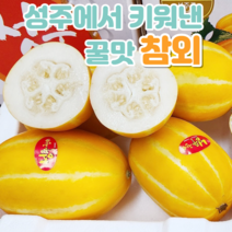 성주참외 제철 달달 못난이 참외 정품 대과, 정품 대과 1.5kg 3~4과