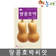 땅콩호박씨앗 10립, 땅콩호박