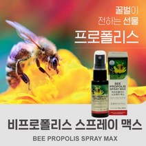휴대 간편한 항산화 구강 항균 구내염 입천장 입안 헐었을때 에 도움주는 비 프로폴리스 스프레이 bee proplis spray 플라보노이드, 1BOX