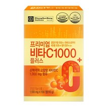 종근당건강 프리미엄 비타C 1000플러스, 4개, 100정