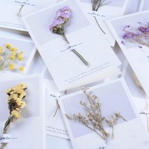 말린꽃카드, 1개, 진핑크꽃