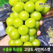 이츠올릿 프리미엄 샤인 머스켓 가정용 1kg 2~4수 김천 상주 영동 씨없는 청포도 머스캣, 2수1kg