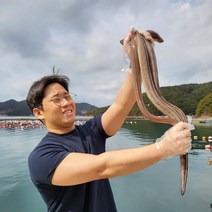 복돈상회 통영 손질 활 장어 구이용 캠핑, 육즙왕 활 2인분 XL (2-3마리) 1KG
