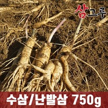 금산인삼 5년근 6년근 수삼 난발삼 원수삼 세척무료 750g 1채, 무료세척-난발 중 750g 12-15뿌리