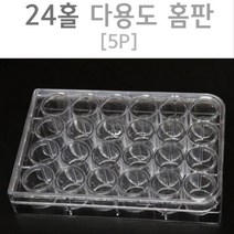 과학실 실험 바이오 플라스틱 투명 홈판 24홀 5p 실기시험 과학교재 방과후수업 실험완구 초등과학키트