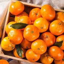 싱싱톡톡 제주 감귤, 1box, 5kg 중대과
