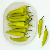 제일씨드바이오 당조고추 1kg/2kg/3kg/5kg, 1박스, 2kg