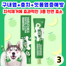 펫생각 하루치카 덴탈크린 치약 메론향 맛 강아지 치석 구취 구내염 제거 메론향 맛, 3개