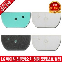 LG 싸이킹 청소기 모터보호 필터 C33ZFY -, 1.스펀지 필터, 1개