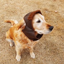 피크몽 강아지 고양이 군밤모자 소중대형견 가능, 레드L