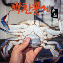 [제철급냉꽃게] 어부언니 숫꽃게 1kg 2kg 봄 가을, 숫꽃게 2kg