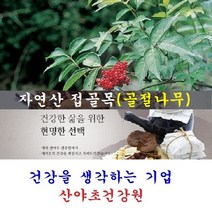 접골목진액(35일분):70팩 딱충나무 말오줌나무 접골탕 우슬접골탕 녹각접골탕
