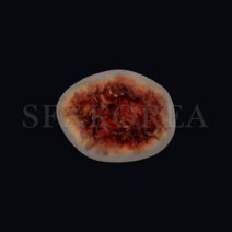 SFX.자가점착 외상피부 병원 경찰 군부대 응급처치 훈련교재 상처치료훈련 시뮬레이션 연습키트, 2.SFX.외상피부_화상(3도, 소)
