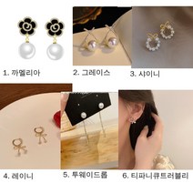 명품 스타일 은침귀걸이 6종 silver925