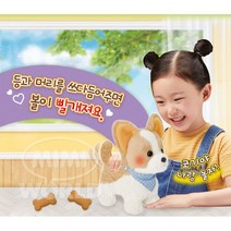웰시코기 펫숍 작동 강아지 입양증명서 친구놀이 딸선물 역할교구 여아 5살 4세여아