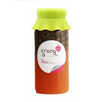 [당일발송] 담아요 수제 백향과청 패션후르츠 수제과일청 카페용 패션후르츠에이드, 1병, 450ml