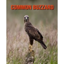 Common Buzzard: Amazing Facts about Common Buzzard Paperback, Independently Published, English, 9798695328356