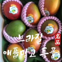 브라질애플망고 프리미엄 애플망고 2kg 4kg, 브라질 애플망고 4kg (7-9개), 9개