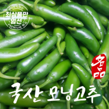 국산 모닝고추 아삭이고추 못난이고추 1kg 5kg, 아삭 모닝고추5kg, 1개