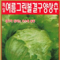 [가람종묘사] 여름그린볼양상추 씨앗(세계에서 가장 많이 재배되는 작물로서 독특한 맛 때문에 샐러드용으로 쓰임)