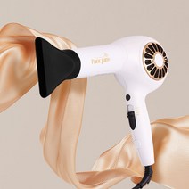 박준 헤어드라이기 전문가용 업소용 드라이기 헤어드라이기 추천 저소음 드라이어 모발손상 최소 드라이기, [박준] 헤어 드라이기 PJP-3020