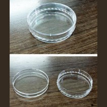 과학수업용 배양실험 샬레 20개 페트리접시 물질반응 교육완구