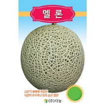 멜론 10립 수박씨앗 애플수박씨앗 흑피수박씨앗 참외씨앗 멜론씨앗 다농종묘 23년