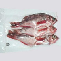 가거도 불볼락 대 3마리(25cm전후)